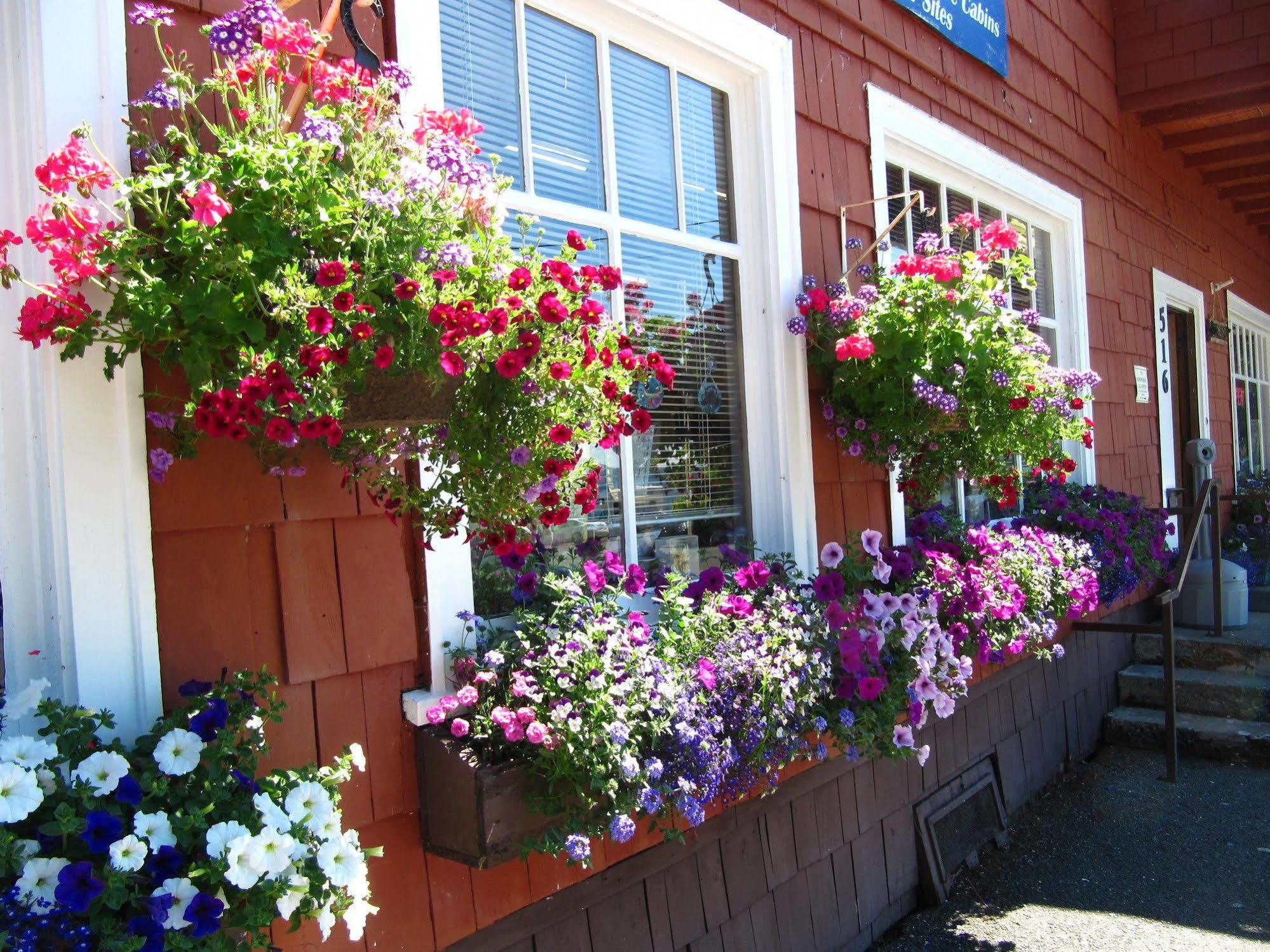 Rain Forest Resort Village Quinault Exterior photo